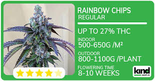 Cannabis Seeds Kentucky Your Comprehensive Guide to Growing in the Bluegrass State Cannabis Seeds Kentucky Your Comprehensive Guide to Growing in the Bluegrass State